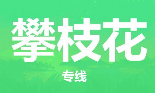广州到攀枝花物流公司|广州至攀枝花货运专线
