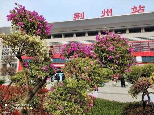 义乌市到荆州物流专线-工厂货物运输专线「高效快捷」